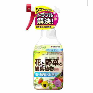 xjJO[VXv[ 250ml ZFw| K[fhN^[veB