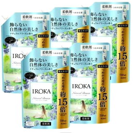 フレア フレグランス IROKA 柔軟剤 ナチュラルブリーズの香り 詰め替え 特大サイズ(710ml*5袋セット)【フレアフレグランスIROKA】