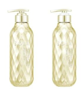 SOLA WEATHER CARE Crystal Repair type (\ EFU[PA NX^ yA^Cv)@NX^ Vt?[wAg[gg@yA^Cv@{̃Zbg@