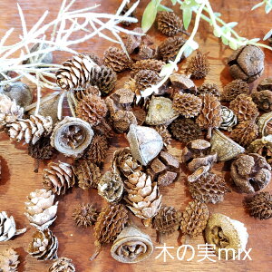 ڂ ؂̎ A}bNXo[ Lbg {^jJTVF@n[oEp ԍ v`Mtg@nhCh Lbg@܂ڂ pCR[ ~bNXyX[p[Z[z