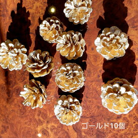 楽天市場 松ぼっくり リース ハンドメイド 花 ガーデン Diy の通販 楽天市場 松ぼっくり リース ハンドメイド 花 ガーデン Diy の通販