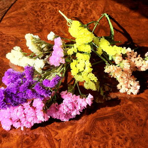 X[p[Z[ X^[`X ԍރZbg ԍ Lh {^jJ a  v[g \lg hCt[ A}bNXo[ TVF Lhz_[ WFLh