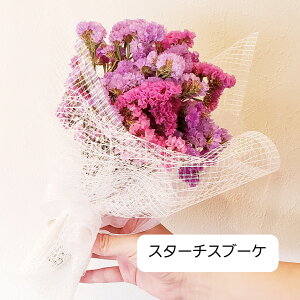 X^[`XԍރZbg ԍ Lh {^jJ a  v[g \lg vU[uht[ hCt[ A}bNXo[ TVF Lhz_[ X[p[Z