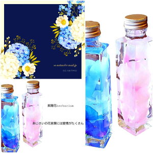 蕨 n[oEvU[uht[ ڂ   CeA    j  a v[g t[Mtg Mtg ̓ ̓ Mtg 