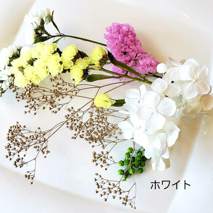 楽天市場 紫陽花 花材セット 花材 キャンドル ボタニカル 誕生日 おしゃれ プレゼント ソネトモ ドライフラワー アロマワックスバー サシェ キャンドルホルダー ジェルキャンドル インスタ映え おうち時間 作成キット プリザーブドフラワー 送料無料 So Netmoソネトモ 楽天市場 紫陽花 花材セット 花材 キャンドル ボタニカル 誕生日 おしゃれ プレゼント ソネトモ ドライフラワー アロマワックスバー サシェ キャンドルホルダー ジェルキャンドル インスタ映え おうち時間 作成キット プリザーブドフラワー 送料無料 So Netmoソネトモ