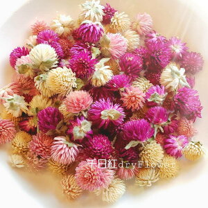 X[p[Z[ g LfB[|bv Xgx[tB[Y ԍރZbg ԍ Lh \lg hCt[ A}bNXo[ TVF Lhz_[ WFLh