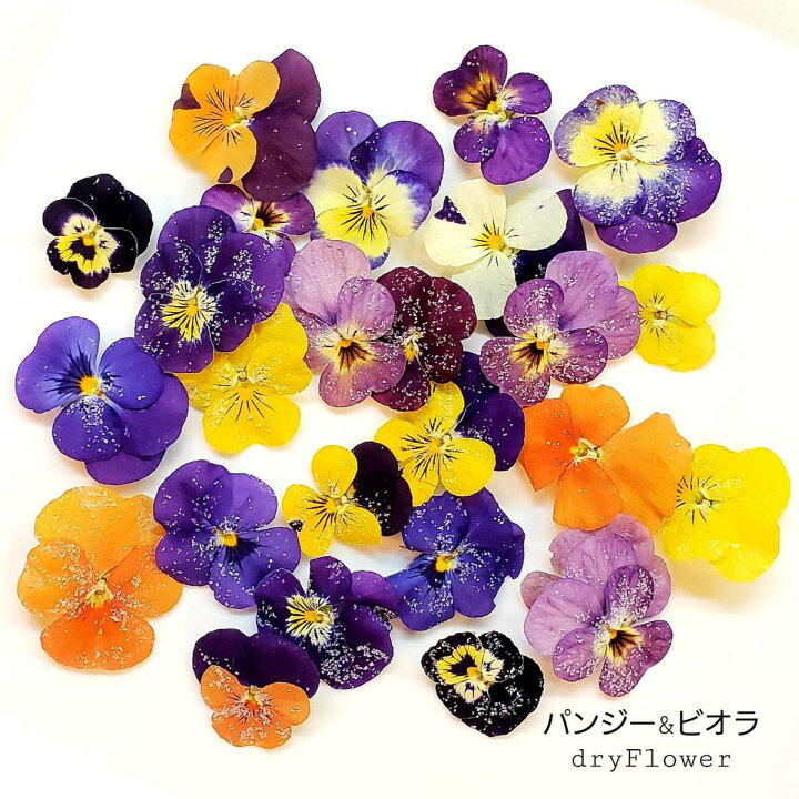 楽天市場 パンジー ビオラ 花材セット 枚 ヴィオラ アロマワックスサシェ アロマワックスバー 花材 セット ジェルキャンドル キャンドルホルダー ドライフラワー サシェ ハーバリウム プリザーブドフラワー ボタニカル 詰め合わせ アソート 材料 自作 手作り 1000円