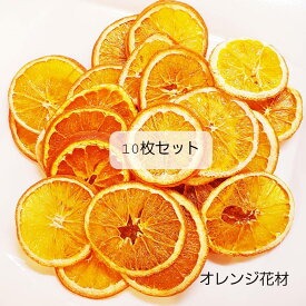 オレンジ オレンジ花材セット 10枚 ドライフルーツ ハーバリウム リース ワックスバー【送料無料】【即日発送】