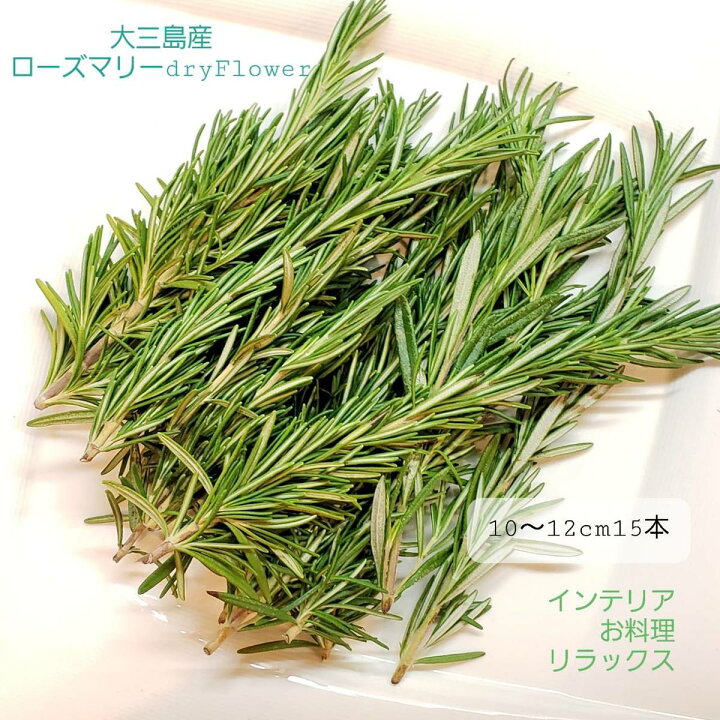 楽天市場 ローズマリードライフラワー 送料無料 1000ポッキリ So Netmoソネトモ 楽天市場 ローズマリードライフラワー 送料無料 1000ポッキリ So Netmoソネトモ