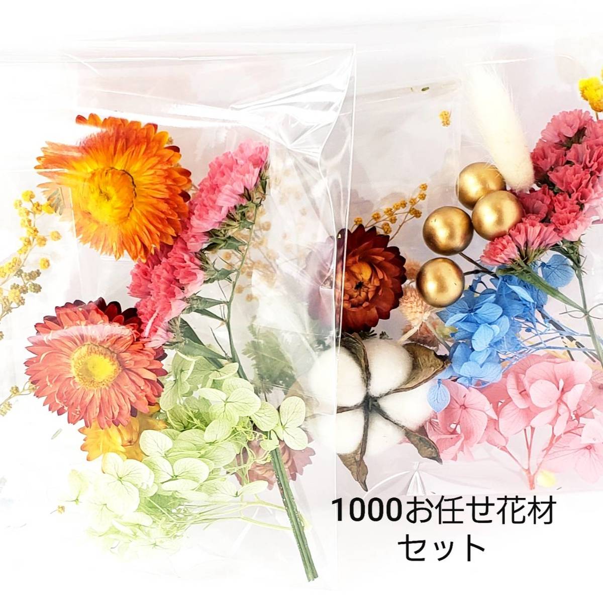 楽天市場】1000円ポッキリ ハーバリウム 花材 カラーパレット バラ