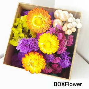 z ԍރZbg ԍ Lh {^jJ a  v[g \lg hCt[ A}bNXo[ TVFWFLh CX^f  쐬Lbg v