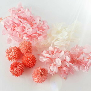 z ԍރZbg ԍ Lh {^jJ a  v[g \lg hCt[ A}bNXo[ TVF Lhz_[ WFLh CX^f 