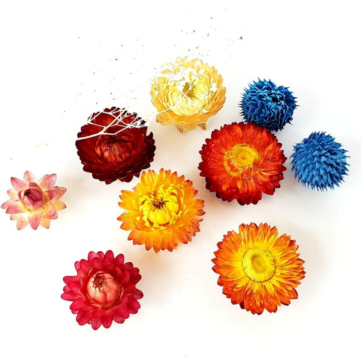 楽天市場 紫陽花 花材セット 花材 キャンドル ボタニカル 誕生日 おしゃれ ソネトモ ドライフラワー アロマワックスバー サシェ キャンドルホルダー ジェルキャンドル インスタ映え おうち時間 作成キット プリザーブドフラワー グリーン リース So Netmoソネトモ 楽天市場 紫陽花 花材セット 花材 キャンドル ボタニカル 誕生日 おしゃれ ソネトモ ドライフラワー アロマワックスバー サシェ キャンドルホルダー ジェルキャンドル インスタ映え おうち時間 作成キット プリザーブドフラワー グリーン リース So Netmoソネトモ