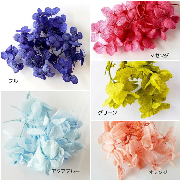 楽天市場】ハーバリウム 花材 カラーパレット バラ クリスマス ドライ  