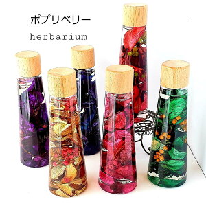 蕨 n[oEvU[uht[ ڂ   CeA    j  a v[g t[Mtg Mtg ̓ ̓ Mtg 