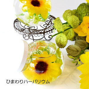 ひまわり 花の人気商品 通販 価格比較 価格 Com