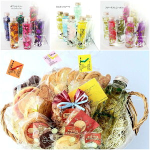 t[Mtg n[oE ԃMtg Iׂ vU[uht[  CeA    j  X^[`X ݑ JX~\IE |v sN p[v u