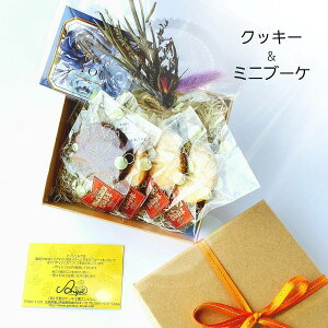 蕨 NbL[ bZ[WJ[ht vU[uht[AWg~ju[P A[XJ[ hCt[ v[g a yzyzybsOς݁z