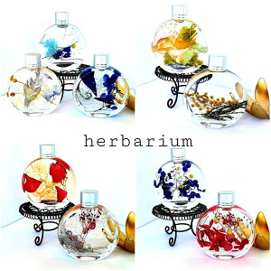 贈り物 ハーバリウム ホワイトデー ハッピーウーマン ミモザプリザーブドフラワー 可愛い おしゃれ インテリア お供え 仏花 お見舞い お祝い 御礼 誕生日 プレゼント フラワーギフト ギフト