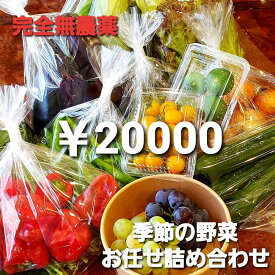 無農薬野菜 野菜 広島県産 こだわり栽培