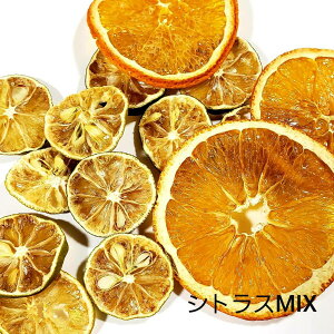 IW IWԍރZbg  hCt[c n[oE [X bNXo[yzyz