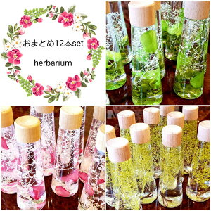 ~U v[g  t[ n[oE n[o[   CeA  j  a 蕨 t[Mtg Mtg  Ɩp ]