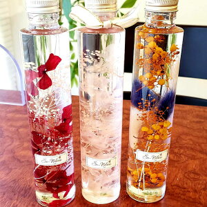  t[Mtg n[oE Iׂ vU[uht[ {gt[        e  j  X^[`X ڂ ݑ