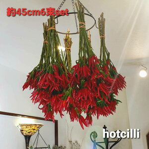 花束 女性 プリザーブドフラワーの人気商品 通販 価格比較 価格 Com