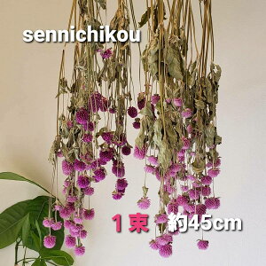 hCt[ u[P ԑ XbO I[^XbO CeA {^jJ IV  a  EGfBO vw̓ j v[g Mtg LO  g 