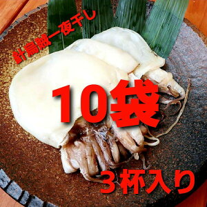 銱 CJ jCJ jG YΏ O Zbg  V ۂ̉Y Y ̂ꂽ Mtg ӎ Ε ӌ    e L C  ^CVJ i