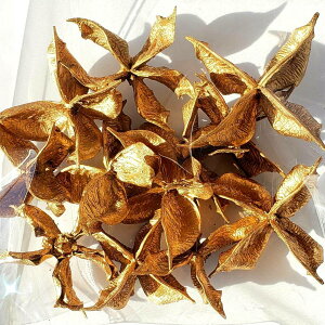 ڂ 킽  K ؂̎ A}bNXo[ Lbg {^jJTVF@n[oEp ԍ v`Mtg@nhCh Lbg@܂ڂ pCR[ ~bNXyX[