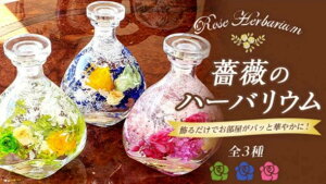 t[Mtg n[oE  vU[uht[ {gt[        e  j  X^[`X ڂ ݑ JX~\I