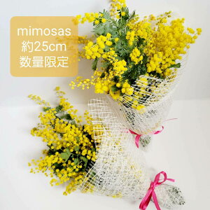 �~���U�@��l�C���i �h���C�t�����[�@ �~���U �y�V�s�ꔄ��NO,1�y�u�[�P�z