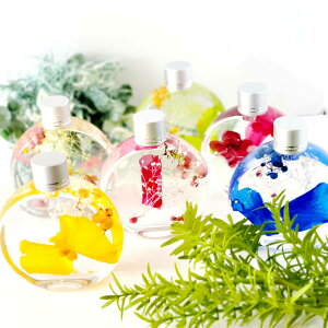  t[Mtg n[oE Iׂ vU[uht[ ̓Mtg ̓ {gt[    NX}X   ڂ ݑ JX~\E