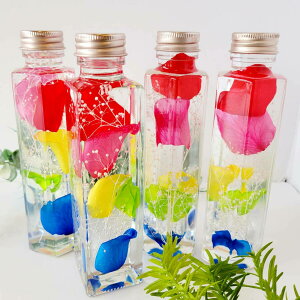  t[Mtg n[oE Iׂ vU[uht[ NX}Xv[g ޏ {gt[    NX}X   ڂ ݑ JX