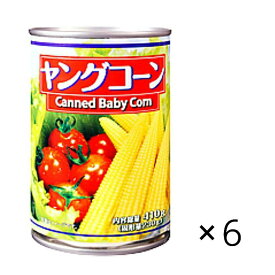 ヤングコーン缶詰6缶セット　まとめ買い　業務用 備蓄品 食堂 レストラン アウトドア キャンプ 災害 ストック 保存