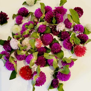 X[p[Z[ g LfB[|bv Xgx[tB[Y ԍރZbg ԍ Lh \lg hCt[ A}bNXo[ TVF Lhz_[ WFLh