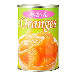 ݂ʋl ~i nhCh NbLO ݂ ЊQ ۑ