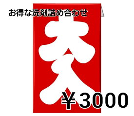 洗剤 福袋 数量限定 食器洗剤 洗濯洗剤 お掃除 お任せ福袋 大掃除 年末年始