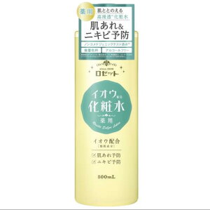 [bg XLRfBVi[i {/MqqmL 500ml ϐ