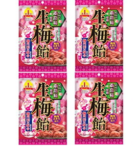 { ~ (110g×4܃Zbg) ~  LfB