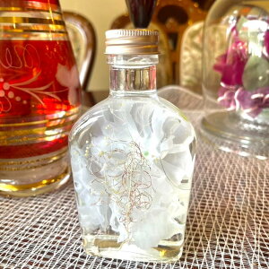 Iׂ@n[oE؃NbL[Zbg@v[g NbL[  t[ n[oE n[o[   CeA  j  a 蕨 t[M