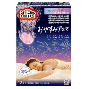 A[X A ONPO ₷݃A} 12 