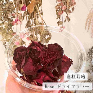 ԁ@ԍ Lh {^jJ a  v[g \lg hCt[ A}bNXo[ TVF [Y o@KN