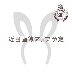 ミッキー＆フレンズ ハット SUISUI SUMMER 2024 ディズニー グッズ お土産【東京ディズニーリゾート限定】