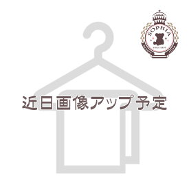 ベイマックス フェイスタオル チェック柄 ディズニー グッズ お土産【東京ディズニーリゾート限定】