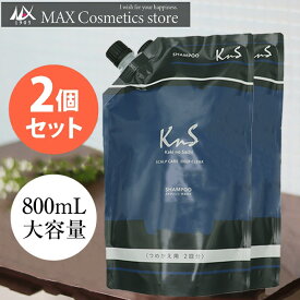 ◆ 詰替え 2個 セット ◆【 薬用 柿渋 スカルプケアシャンプー 】KnS 柿のさち 800mL 詰め替え パウチ 2個セット メンズ 男性用 抜け毛 薄毛 枕 頭皮 柿渋 頭皮ケア ふけかゆみケア 炭 メンズスカルプシャンプー フケ 枕のにおい 臭い 加齢臭 体臭予防