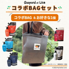 リサとガスパール ＆ KnS の コラボ ♪【コラボトートBAGセット】 ボディソープ シャンプー コンディショナー トートバッグ のセット ニオイケア デオドラント ギフト シャンプーセット ヘアケアセット バッグ ボディソープセット