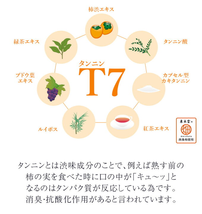 楽天市場 Kns 柿のさち Kns 薬用柿渋ボディソープ 800ml詰替えパウチ 加齢臭 ボディソープ メンズ 体臭予防 ボディーソープ 足の におい わきが 詰め替え ボディ ソープ 対策 ボディシャンプー 詰替 足の匂い 詰替え つめかえ用 ワキガ対策 マックス石鹸 楽天市場店 楽天市場 Kns 柿のさち Kns 薬用柿渋ボディソープ 800ml詰替えパウチ 加齢臭 ボディソープ メンズ 体臭予防 ボディーソープ 足の におい わきが 詰め替え ボディ ソープ 対策 ボディシャンプー 詰替 足の匂い 詰替え つめかえ用 ワキガ対策 マックス石鹸 楽天市場店