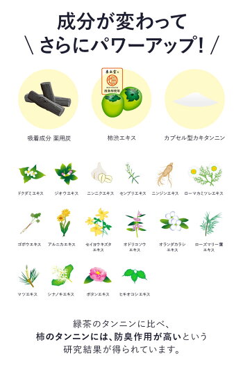 【店内全品ポイント10倍!5/271:59まで】【KnS】薬用スカルプシャンプーメンズ500mL|頭皮柿渋炭フケ枕のにおい臭いくさい加齢臭かきのさち男性用体臭体臭予防薬用シャンプーメンズシャンプー柿渋シャンプー枕抜け毛薄毛